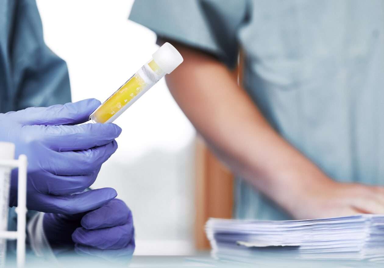 Einblick in ein Biologie-Praktikum in Berlin im DIZG-Labor
