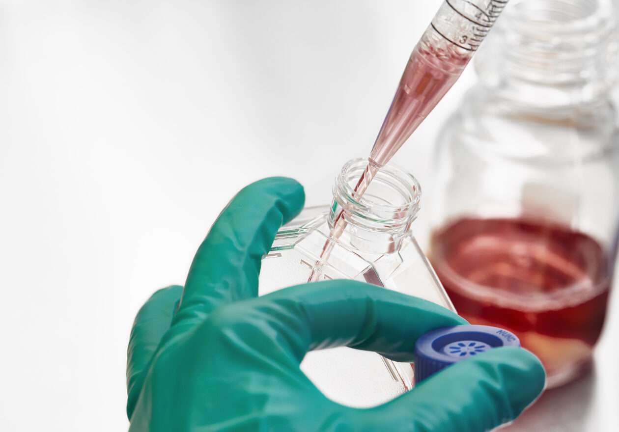 2.1. Processing the cells